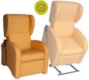 Sillon Exotico electrico con elevacion